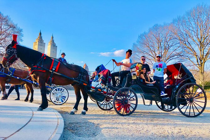 VIP Central Park Experience Tour with photos 50min~Skip the line - How VIP carriage time works in Central Park (50 minutes, private group up to 4)