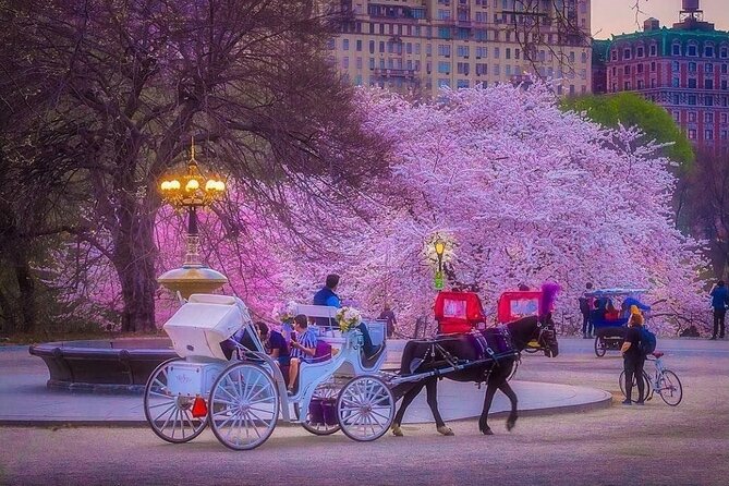 VIP Central Park Experience Tour with photos 50min~Skip the line - Bethesda Terrace and Fountain: the 10-minute photo stop you’ll plan around