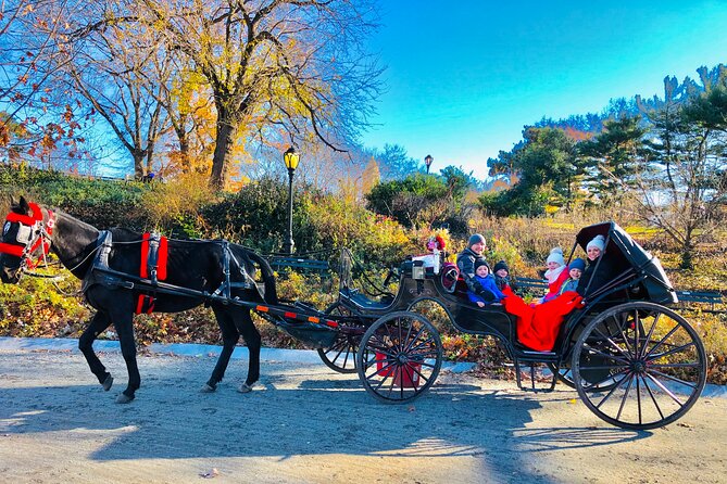 VIP Central Park Experience Tour with photos 50min~Skip the line - Cherry Hill, the Carousel, and Sheep Meadow: the park’s family trio