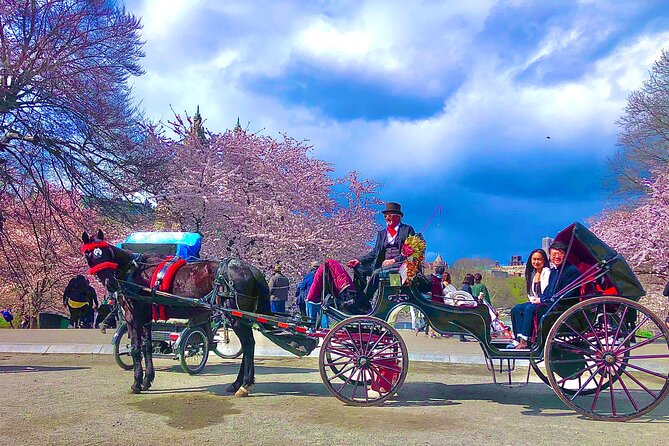 VIP Central Park Experience Tour with photos 50min~Skip the line - Price and value: when $199.99 per group makes sense