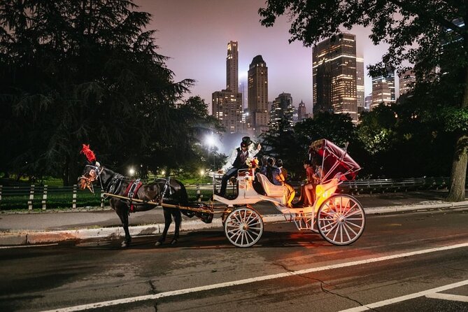 VIP Horse Carriage Ride through Central Park (Up to 4 Adults) - VIP horse carriage through Central Park: the real deal on comfort and pace