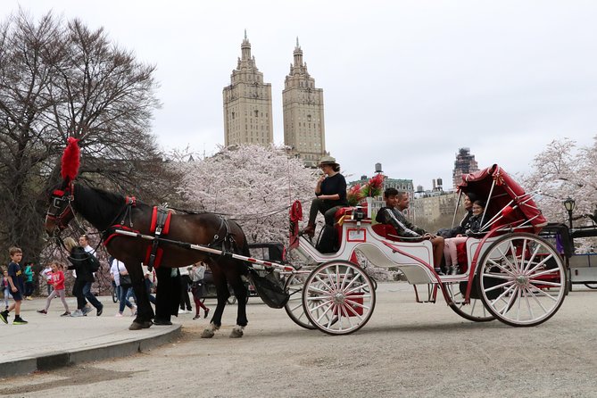 VIP Horse Carriage Ride through Central Park (Up to 4 Adults) - Price and value: why $265 per carriage can make sense