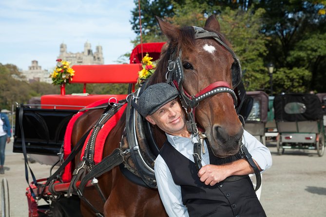 VIP Horse Carriage Ride through Central Park (Up to 4 Adults) - Your guide experience: what you can realistically expect from narration