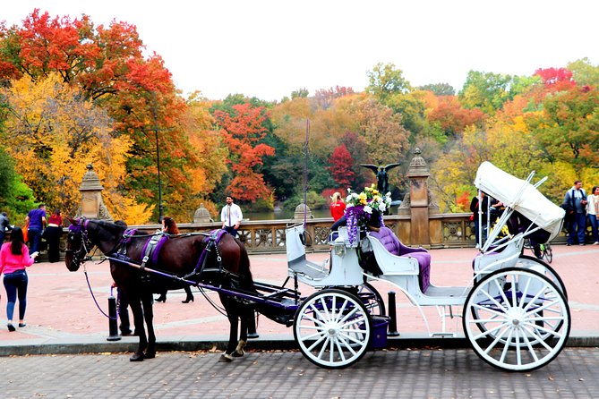 VIP Horse Carriage Ride through Central Park (Up to 4 Adults) - Where you start: José Martí Statue to get your bearings fast