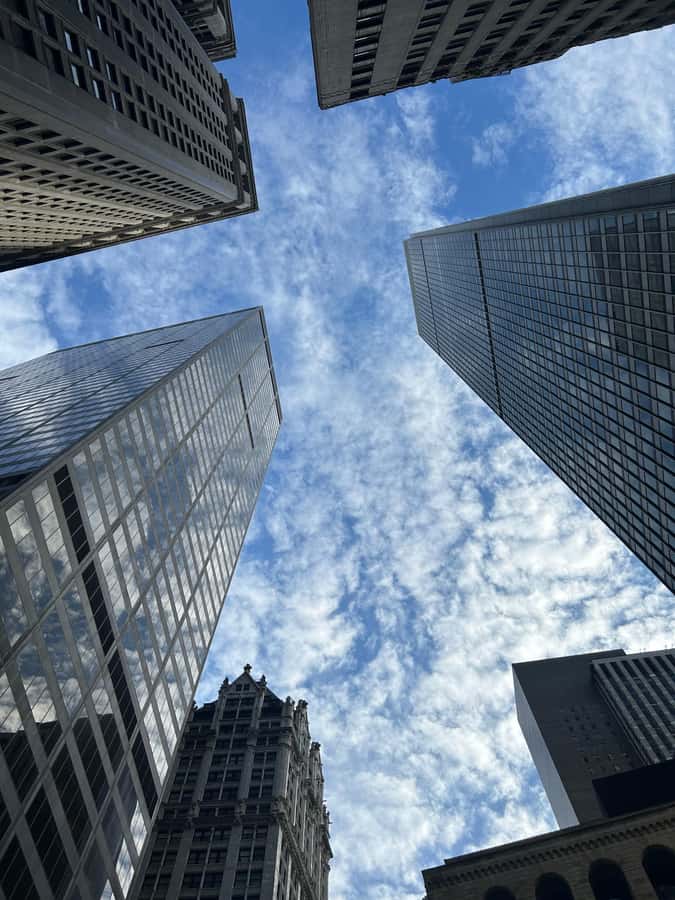 Wall Street: The birth place of NYC in French/English tour - Hidden park moments and a Brooklyn view above it all